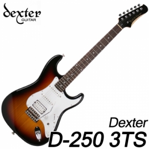 덱스터(Dexter) 일렉트릭 기타 [D Series] D-250 3TS