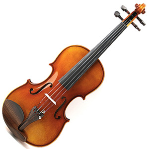 비올라 심로마스터(Shimro Master Viola)